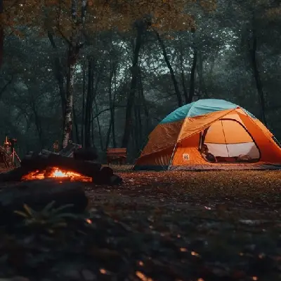 Lake Valley Things To Do in Tirupati